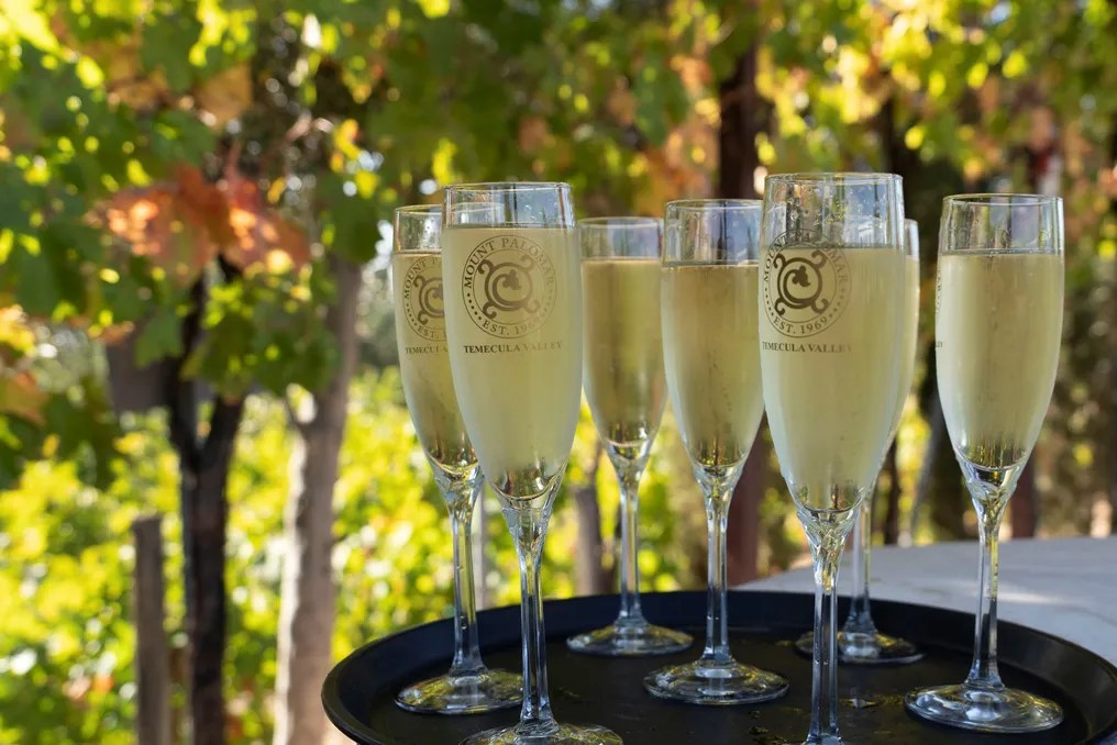 Mount Palomar Winery #34