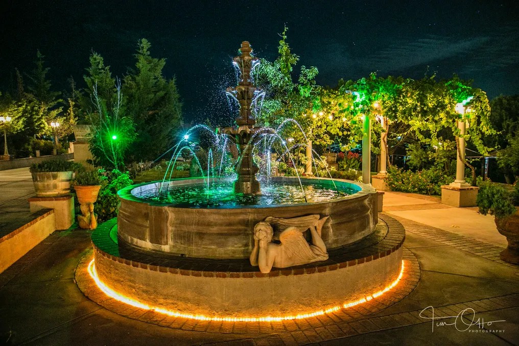 Mount Palomar Winery #37
