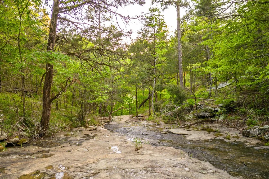 Rocky Top Falls #14