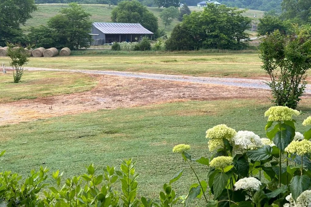 Hosanna Farm #1