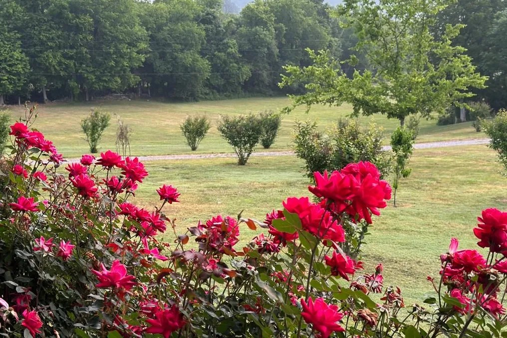 Hosanna Farm #2