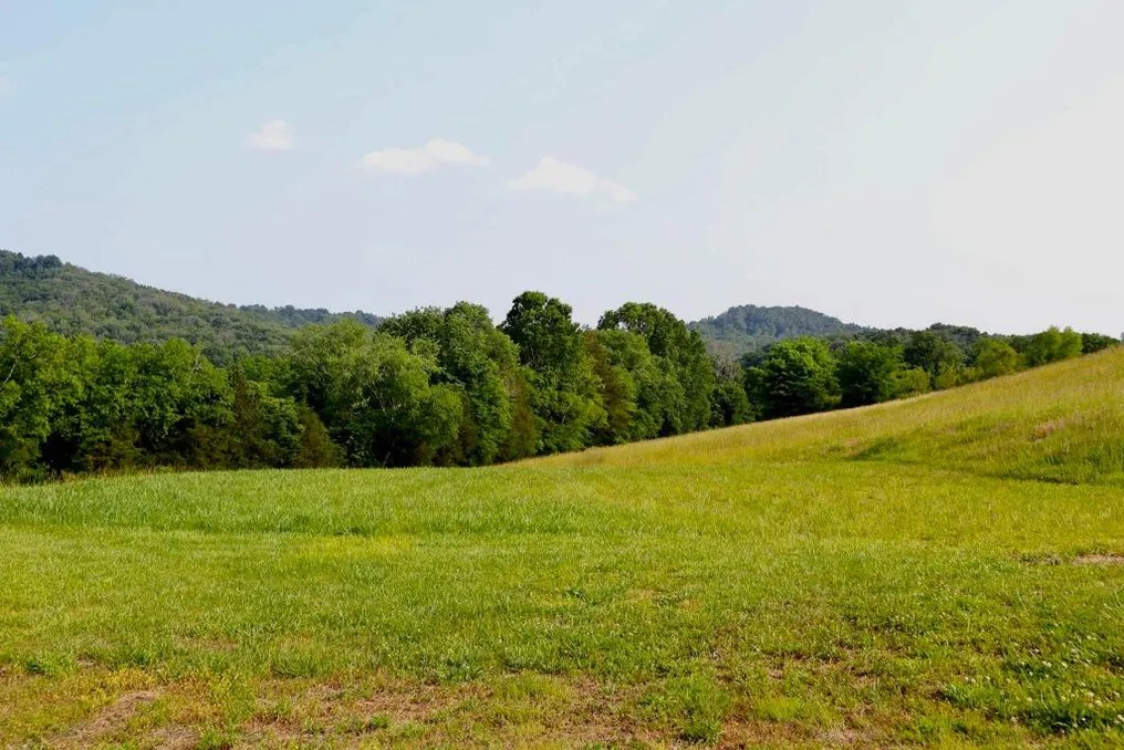 Hosanna Farm #4