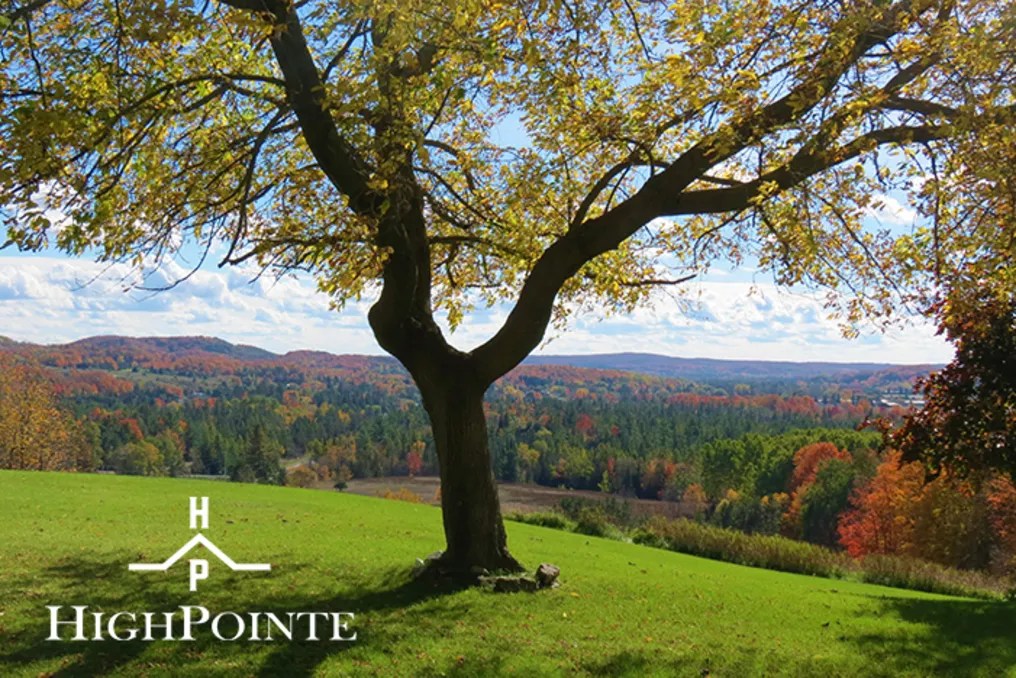 Events at High Pointe #18