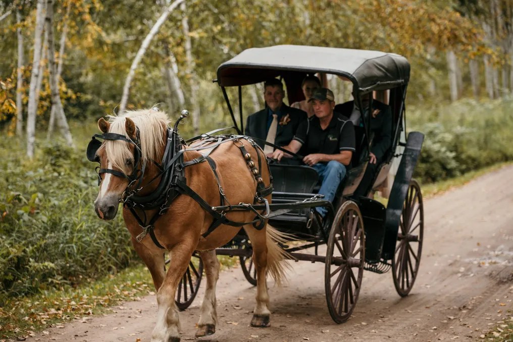 Dixon's Apple Orchard #6