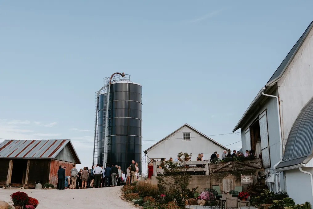 Backroad Barn & Gardens #3
