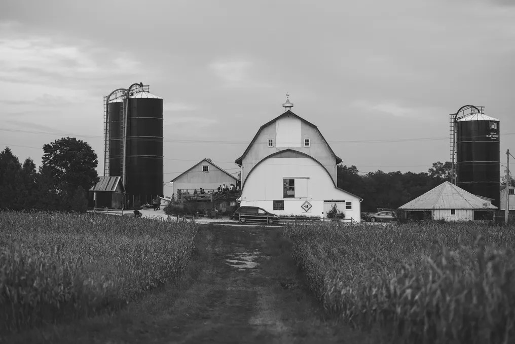 Backroad Barn & Gardens #4