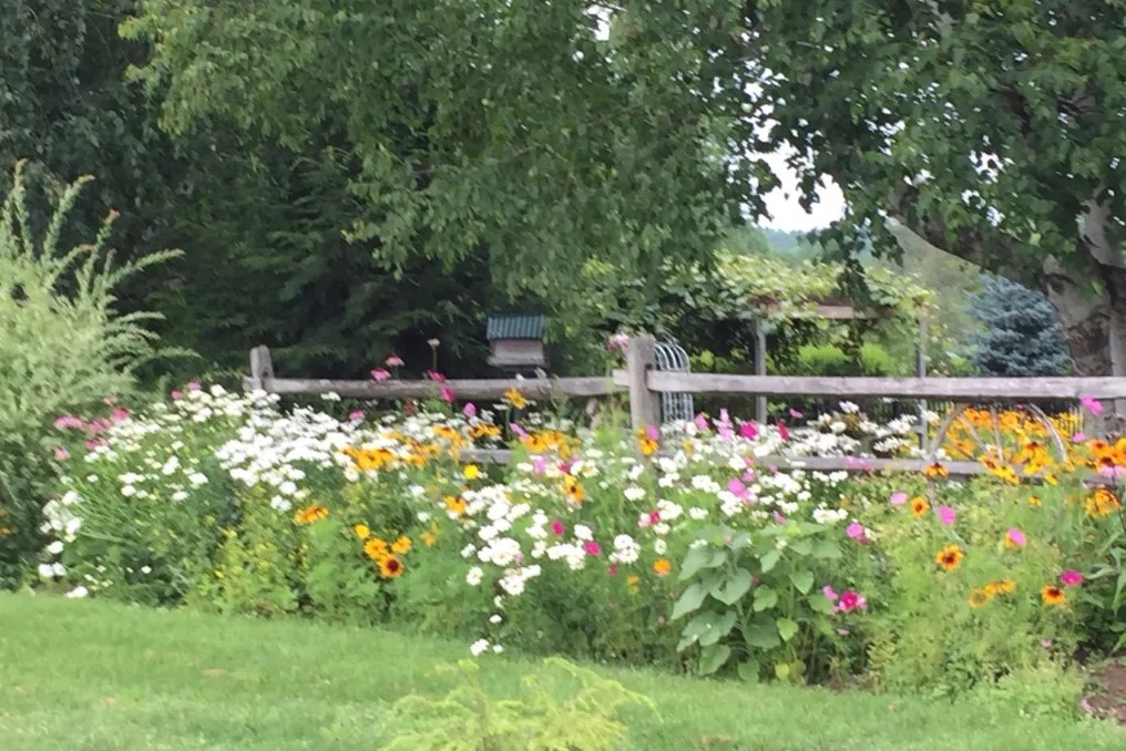 The Olde Tater Barn #8