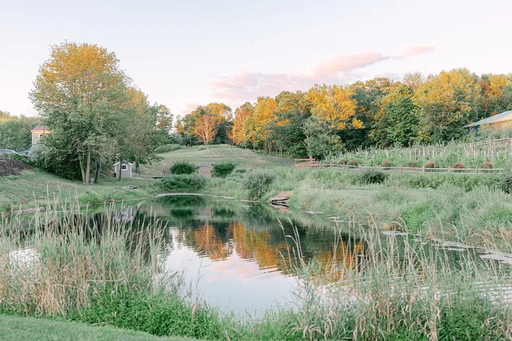 Bear Brook Valley #26