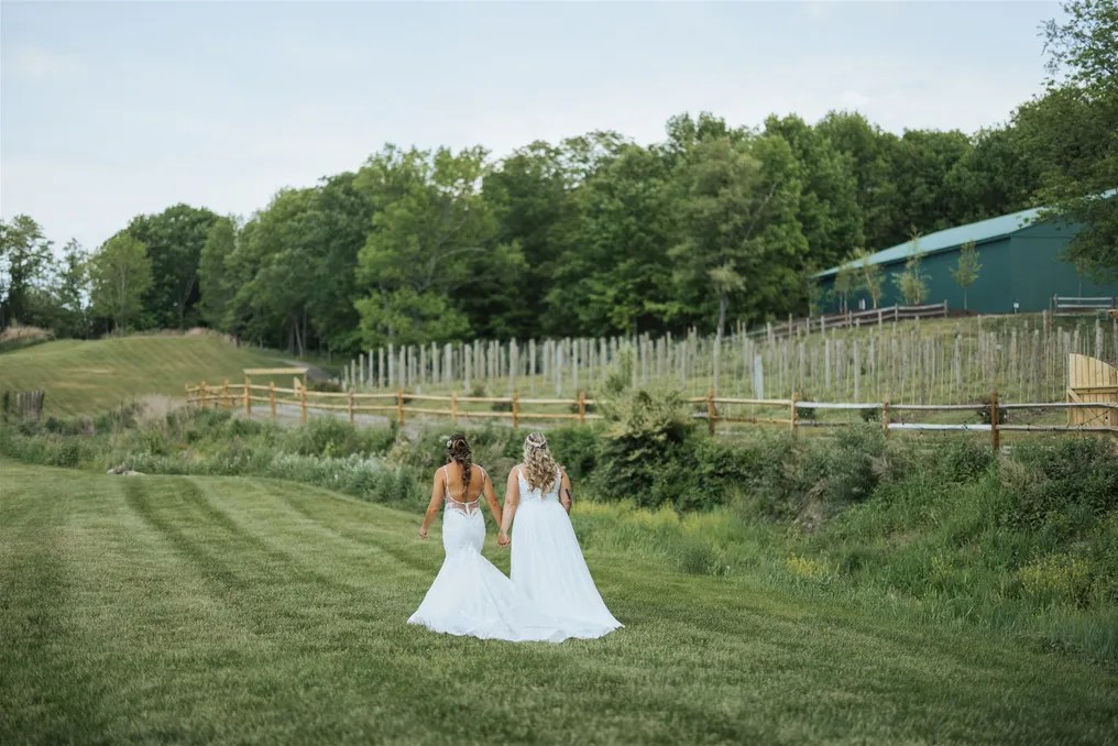 Bear Brook Valley #42