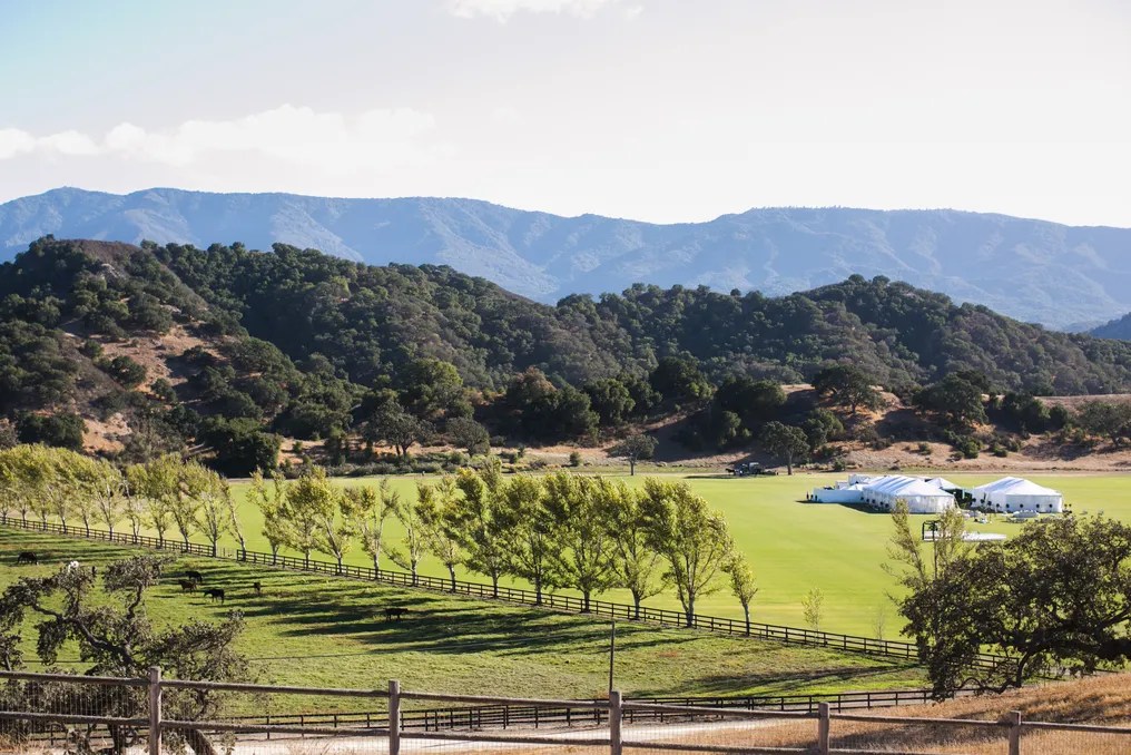 Happy Canyon Vineyard #10
