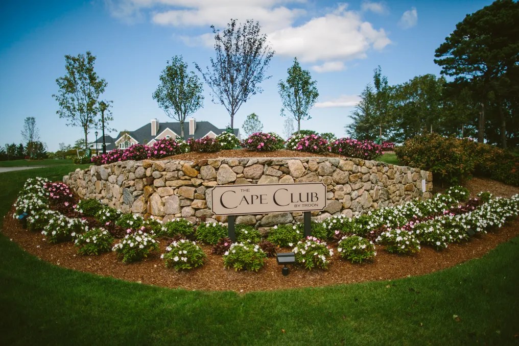 The Cape Club #24