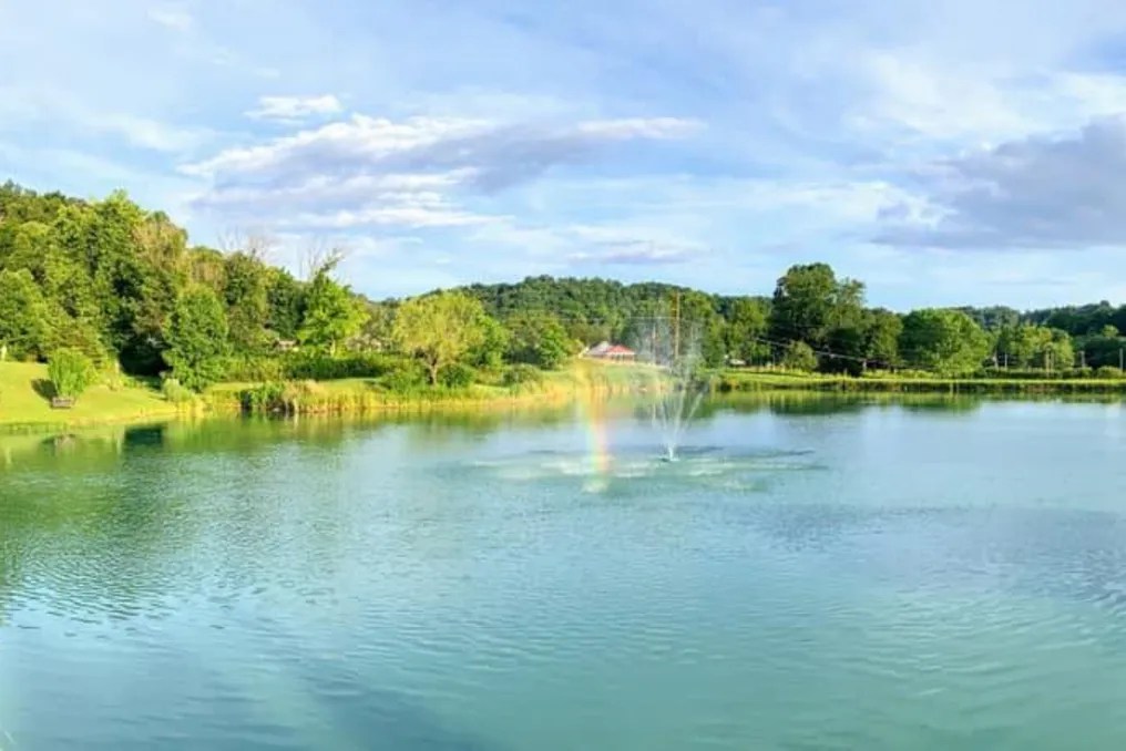 Annie Lane Wedding Resort #17