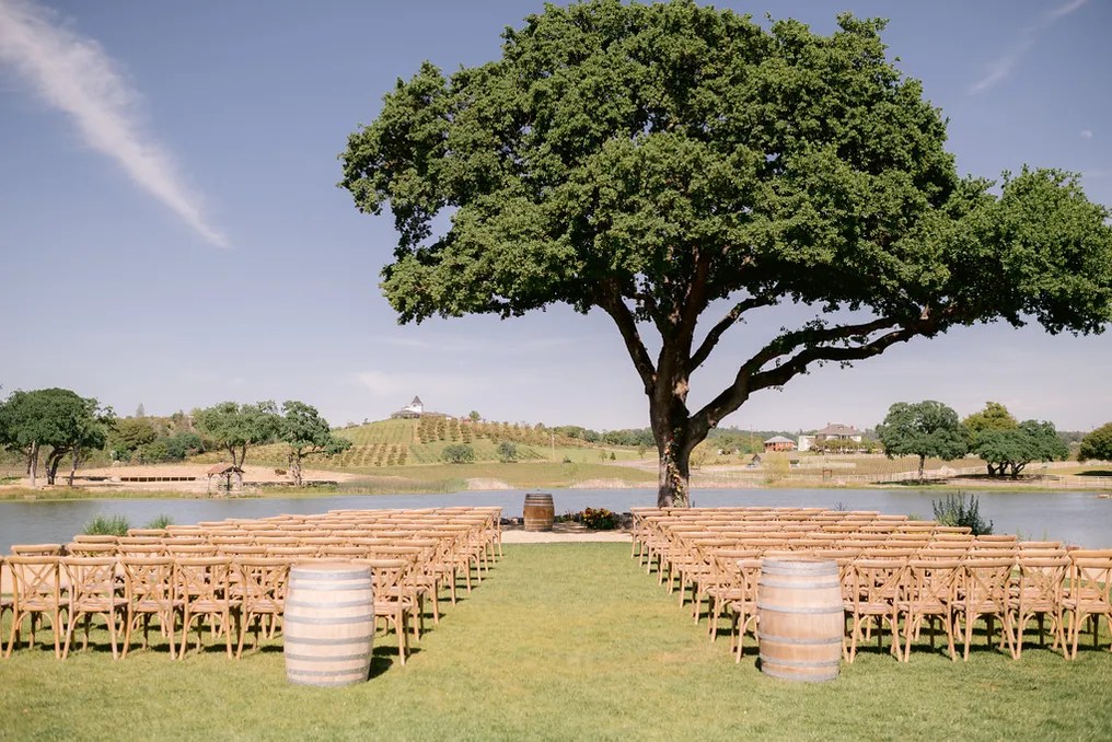 Saureel Vineyards #11