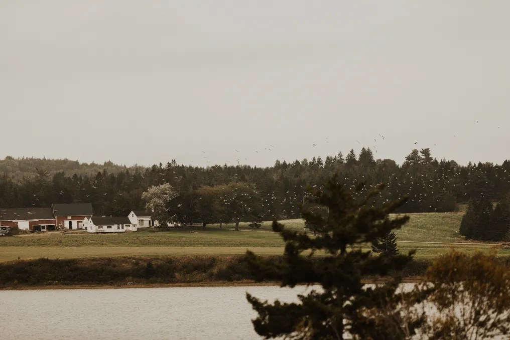 West Branch Farms #11