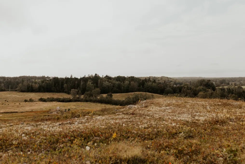West Branch Farms #23
