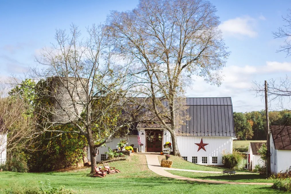 The Barns at Hamilton Station Vineyards #1