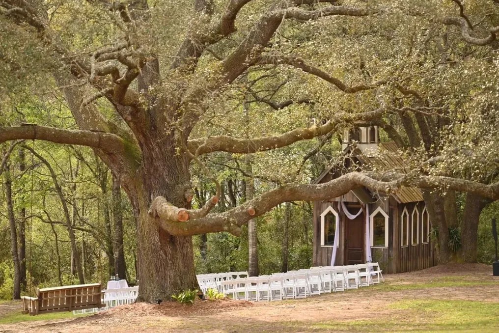 The Venue at Hidden Lake #1