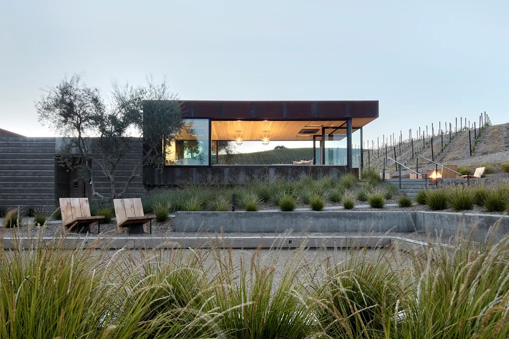 Booker Vineyard #5