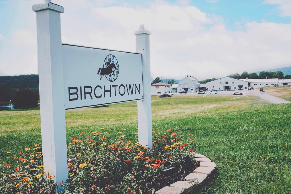 Birchtown Weddings & Events #7