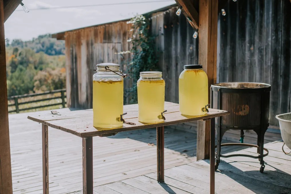 Sunset Ridge Farm Wedding/Event Venue, Wilderness Lodge #51