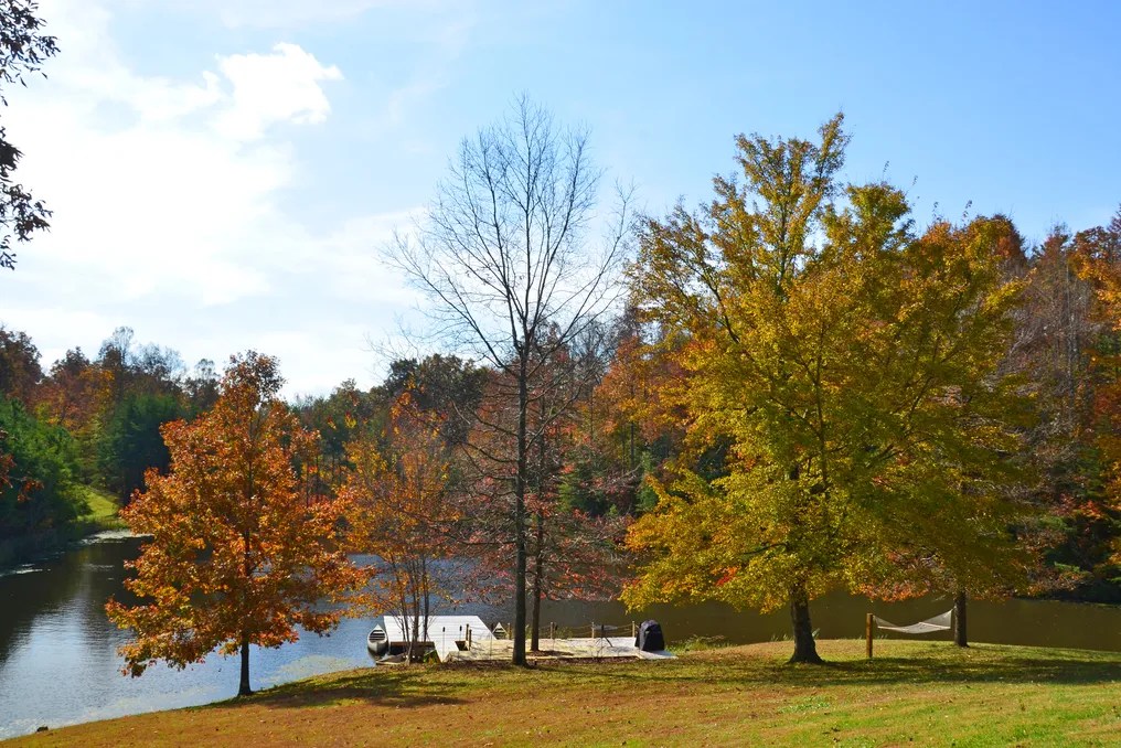 Sunset Ridge Farm Wedding/Event Venue, Wilderness Lodge #83