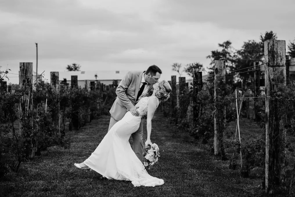 The Barn & Vineyard #2