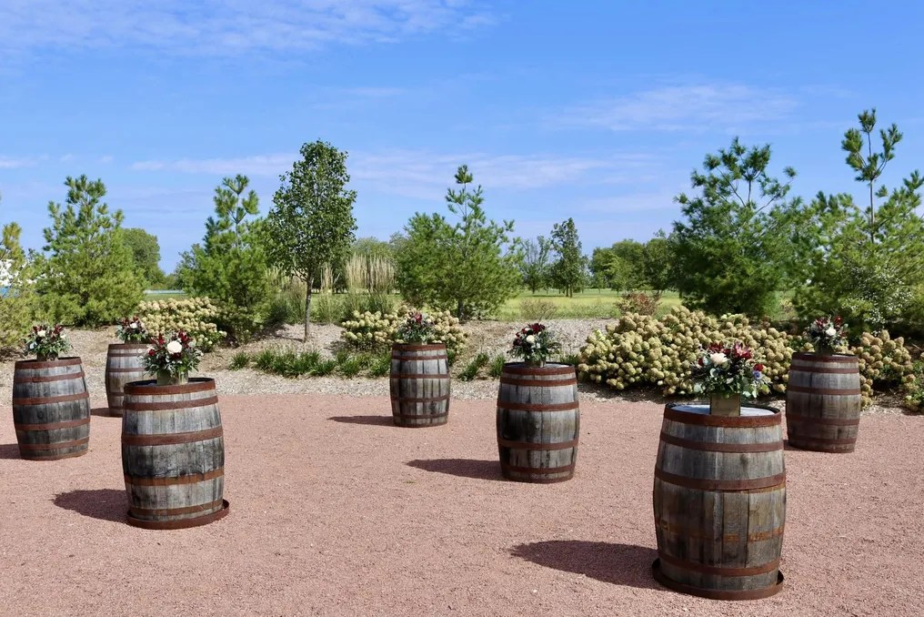 The Barn & Vineyard #37