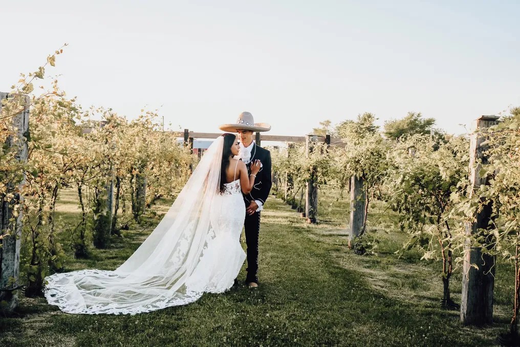 The Barn & Vineyard #40