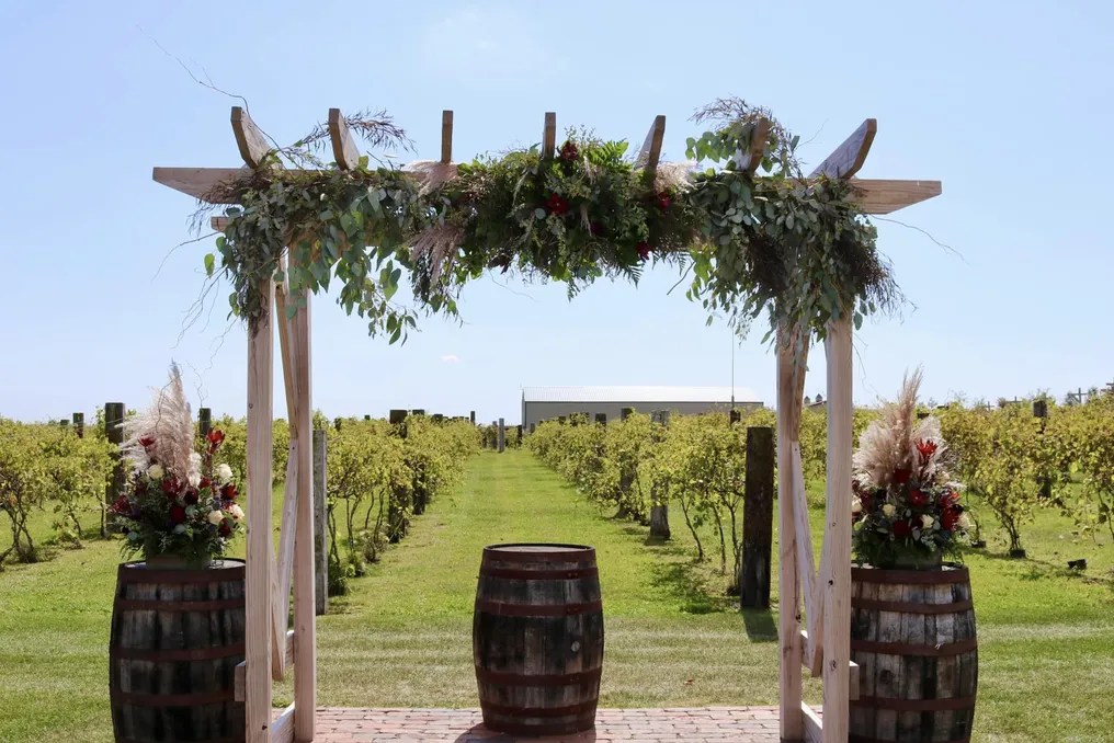 The Barn & Vineyard #49