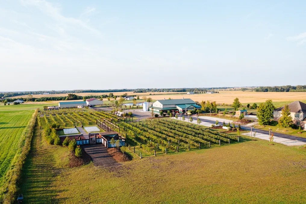 The Barn & Vineyard #50