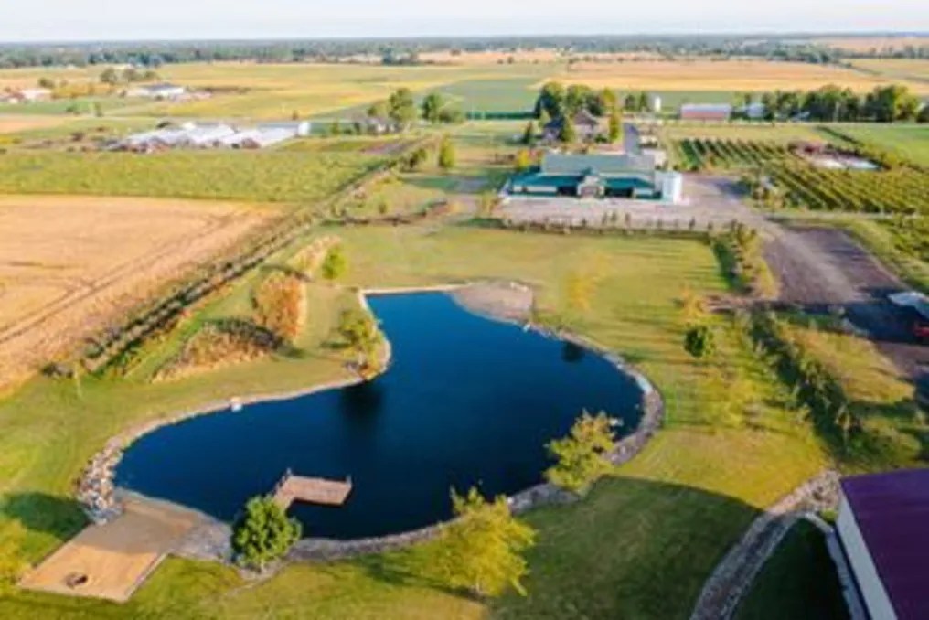 The Barn & Vineyard #52