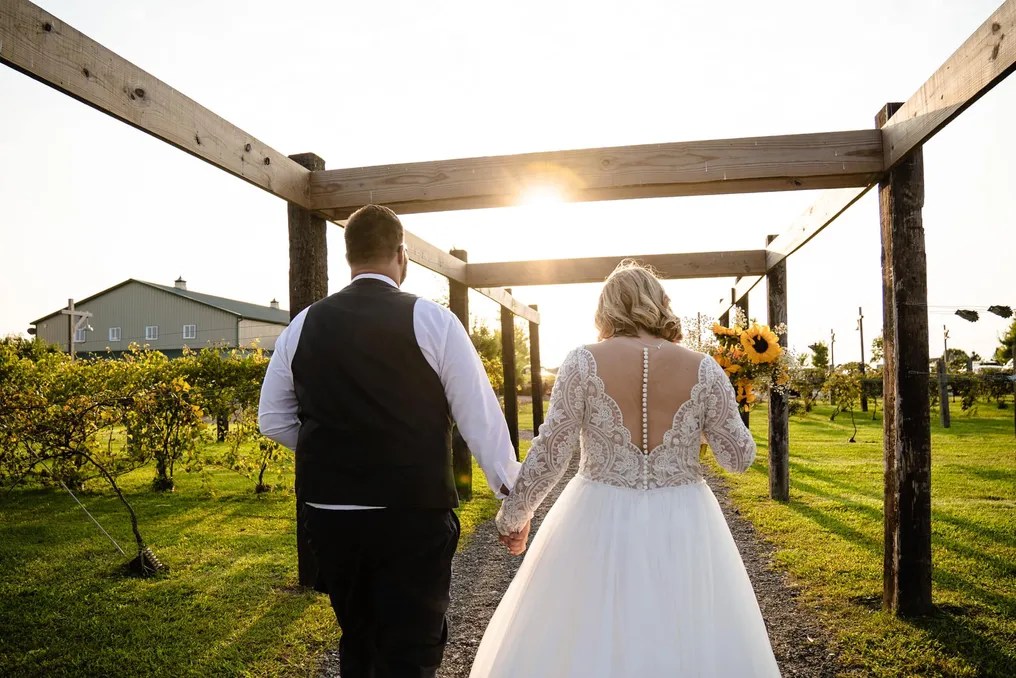 The Barn & Vineyard #56