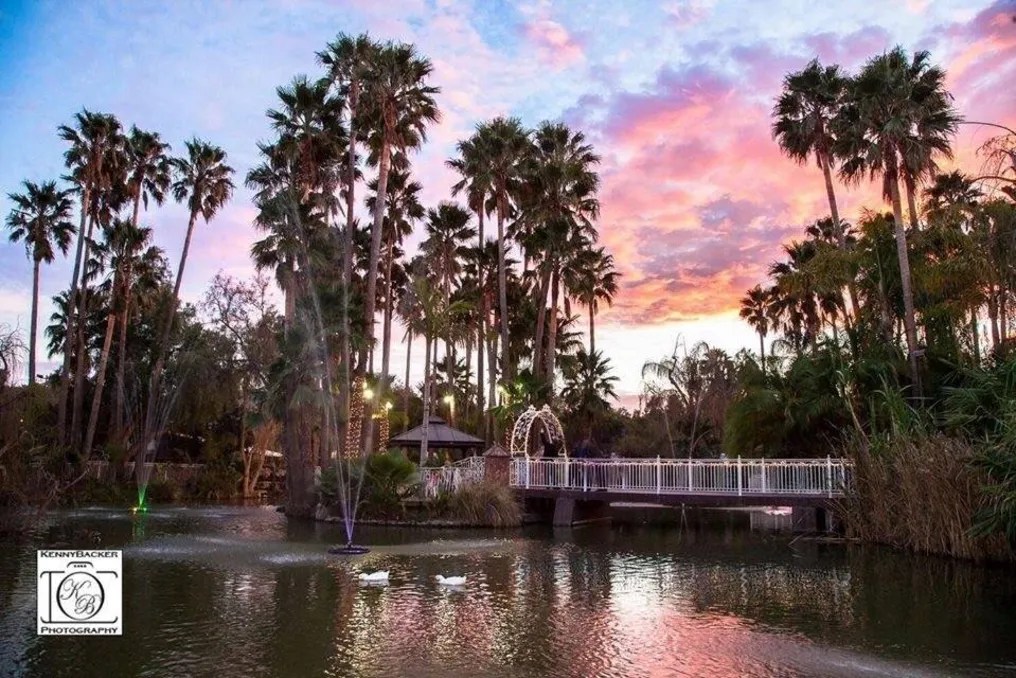 Rancho de las Palmas #1