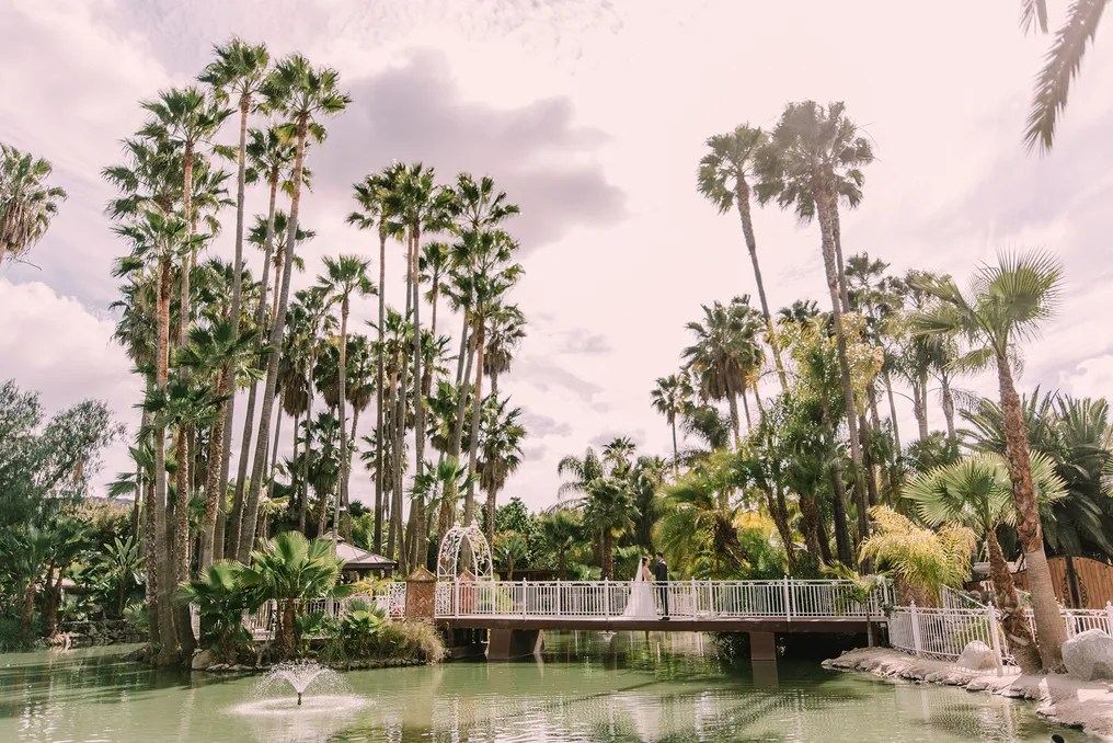 Rancho de las Palmas #27