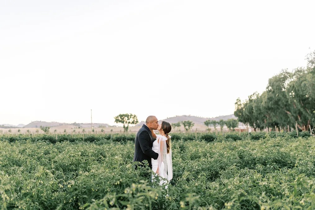 Rancho de las Palmas #42