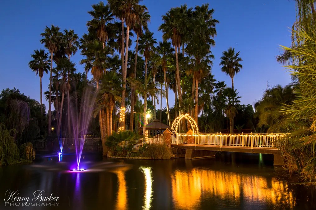 Rancho de las Palmas #47