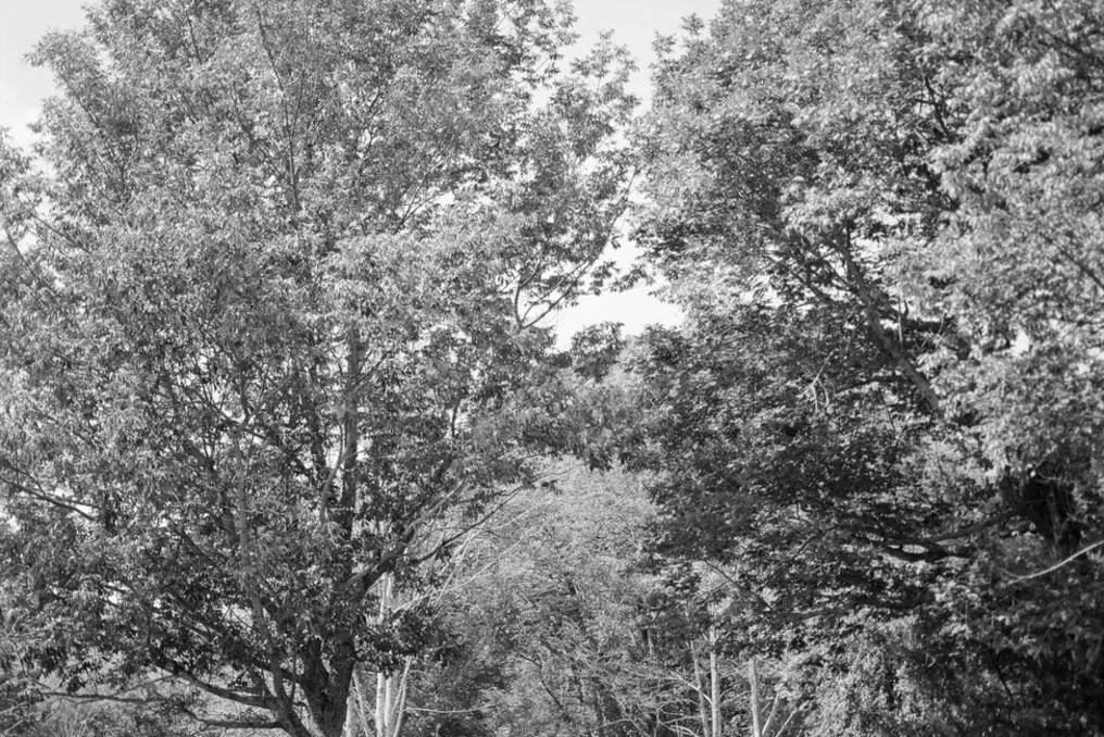 Stone Tavern Farm #49