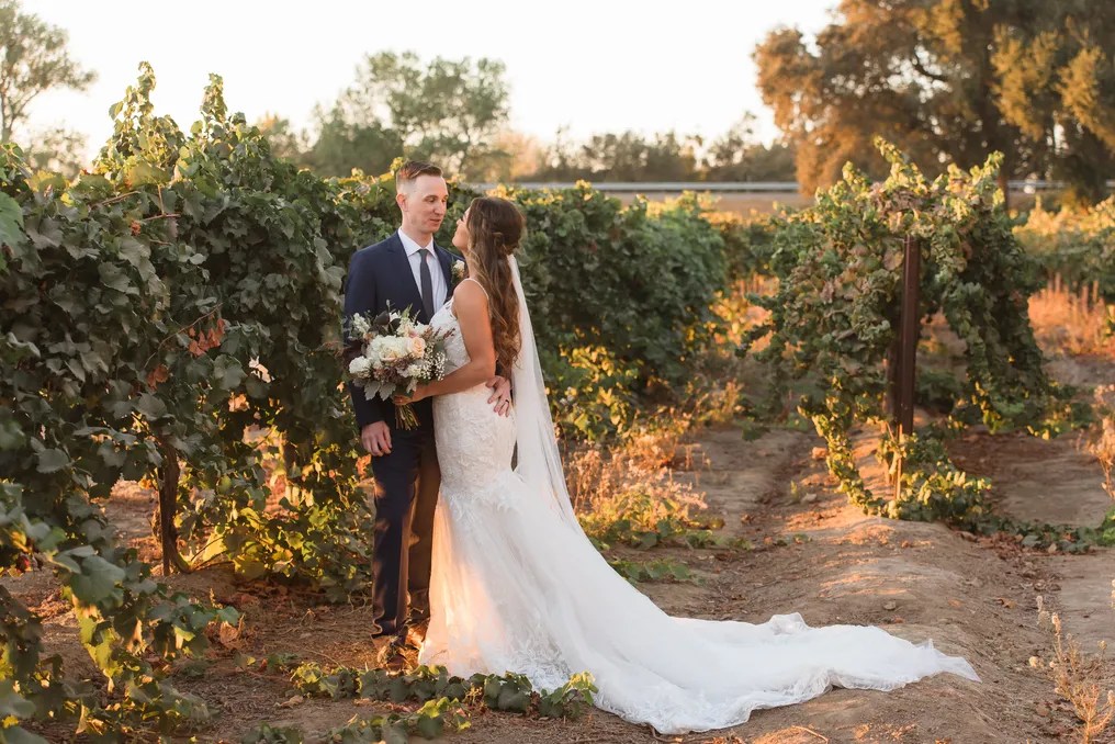 Scribner Bend Vineyards #24