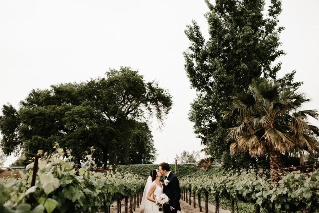 Scribner Bend Vineyards #28