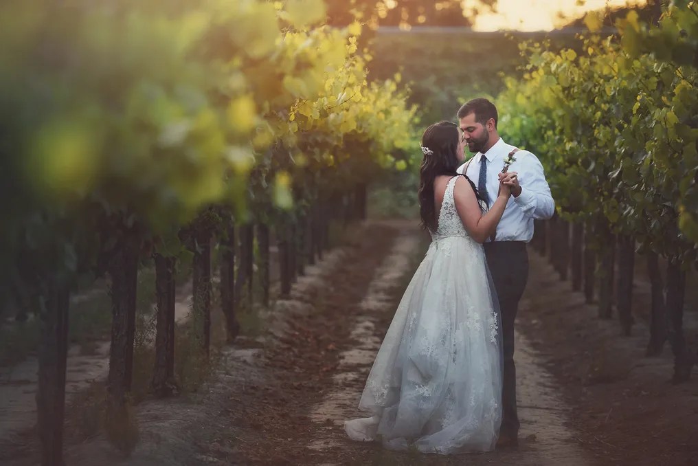 Scribner Bend Vineyards #29