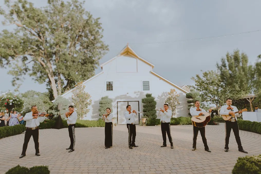 Scribner Bend Vineyards #31
