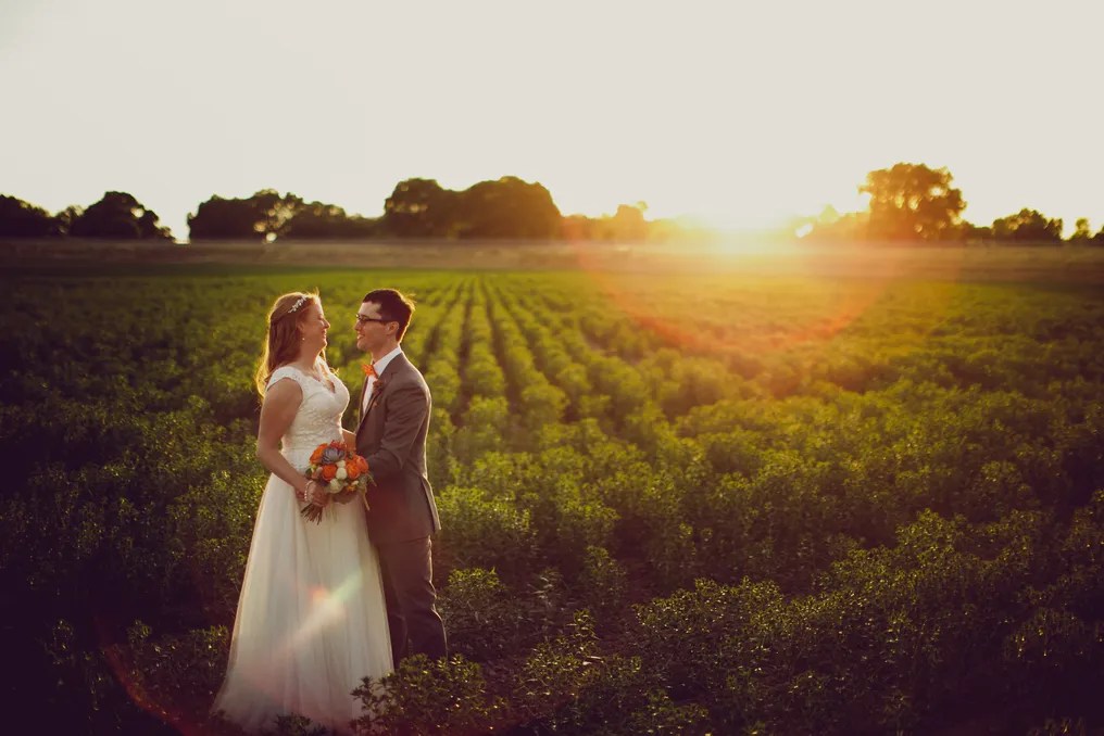 Scribner Bend Vineyards #48