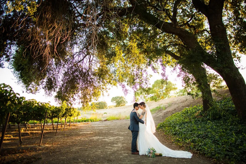Scribner Bend Vineyards #58