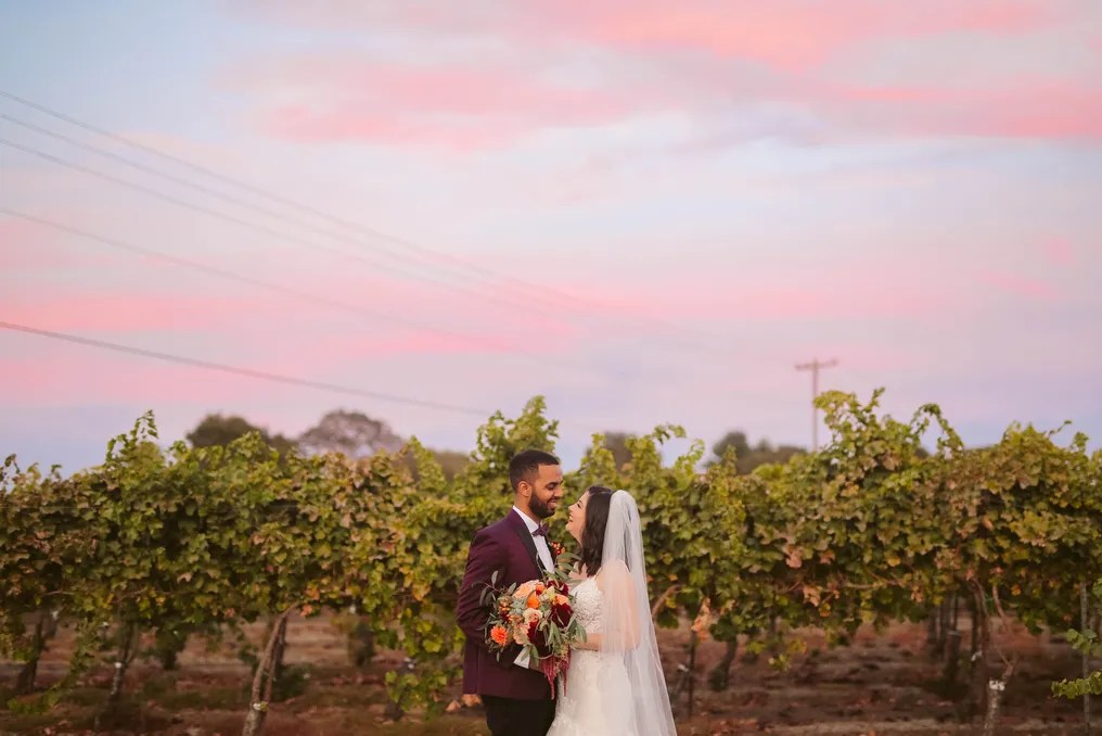 Scribner Bend Vineyards #65