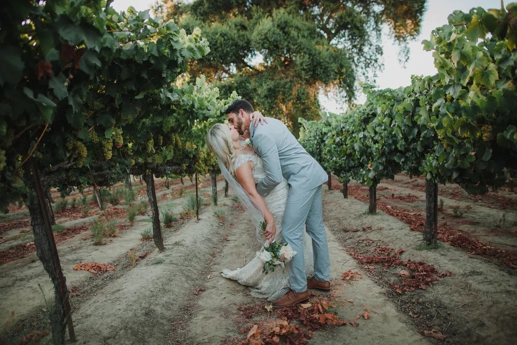 Scribner Bend Vineyards #71