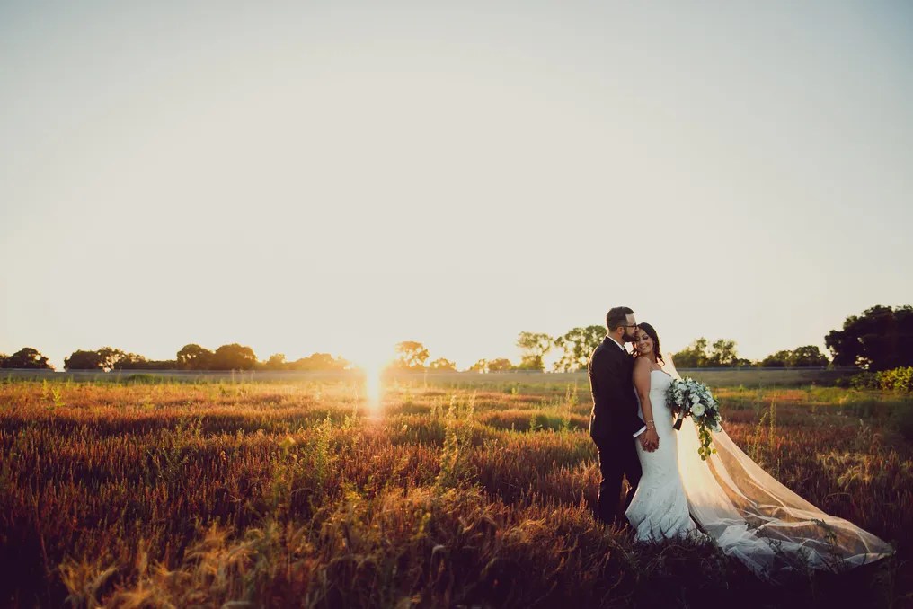 Scribner Bend Vineyards #122