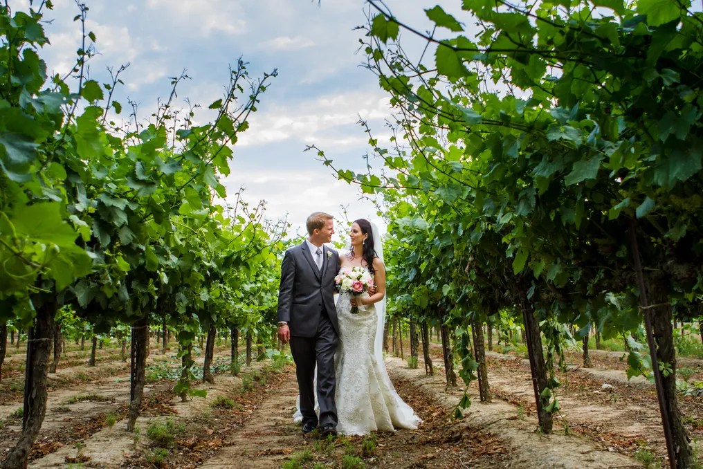 Scribner Bend Vineyards #129
