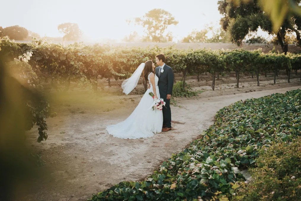 Scribner Bend Vineyards #142