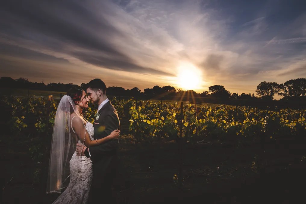 Scribner Bend Vineyards #166