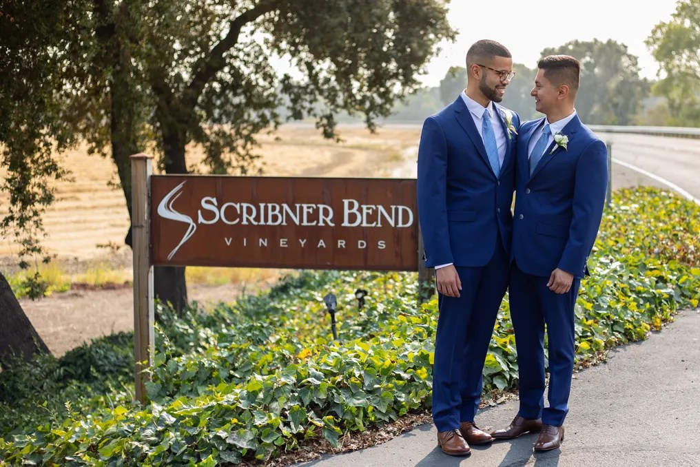 Scribner Bend Vineyards #182